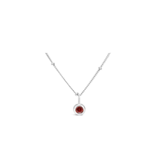Stia Jewelry Birthstone Necklace - January/Garnet