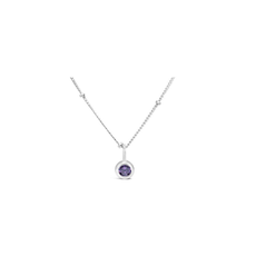 Stia Jewelry Birthstone Necklace - February/Amethyst