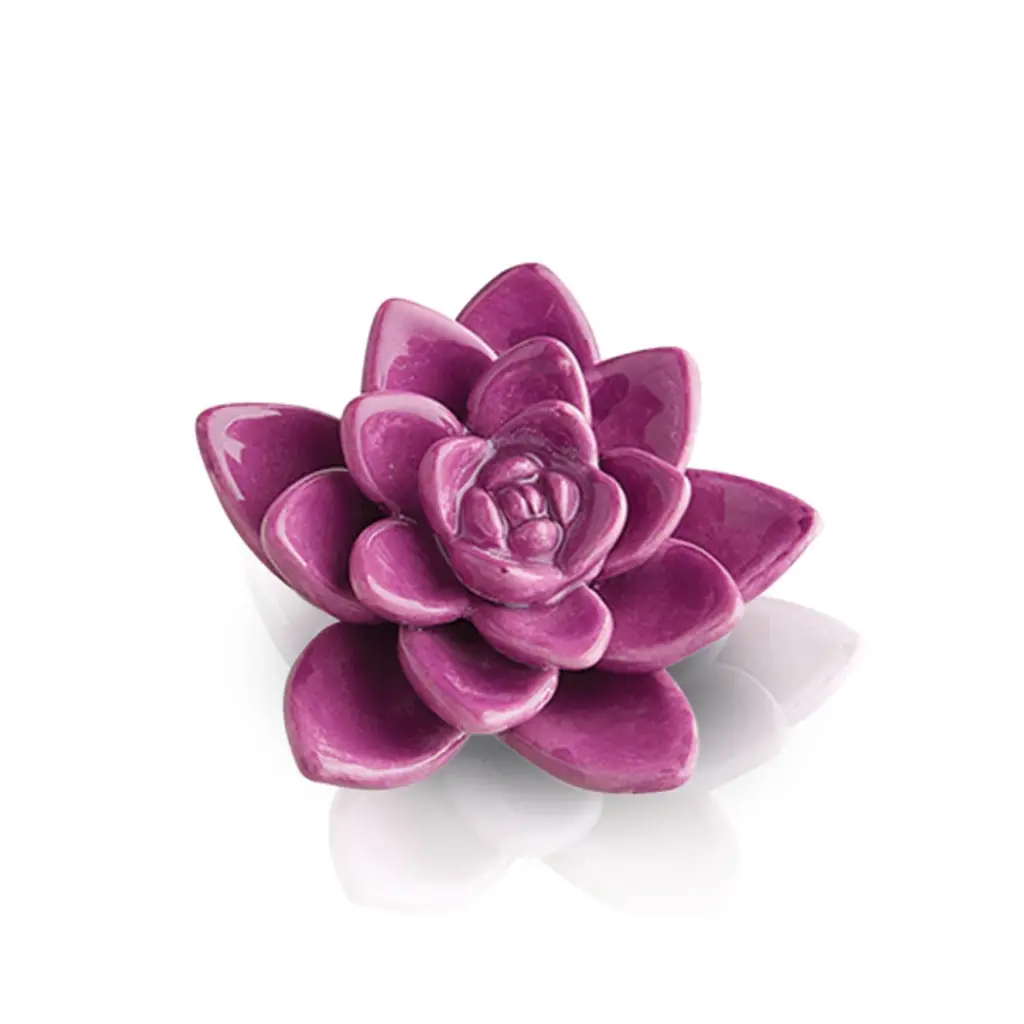 Nora Fleming Nora Fleming - Get Growing - Succulent Mini