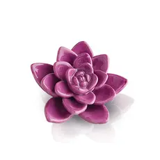 Nora Fleming Nora Fleming - Get Growing - Succulent Mini