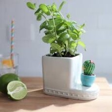 Nora Fleming Nora Fleming Can’t Touch This Mini