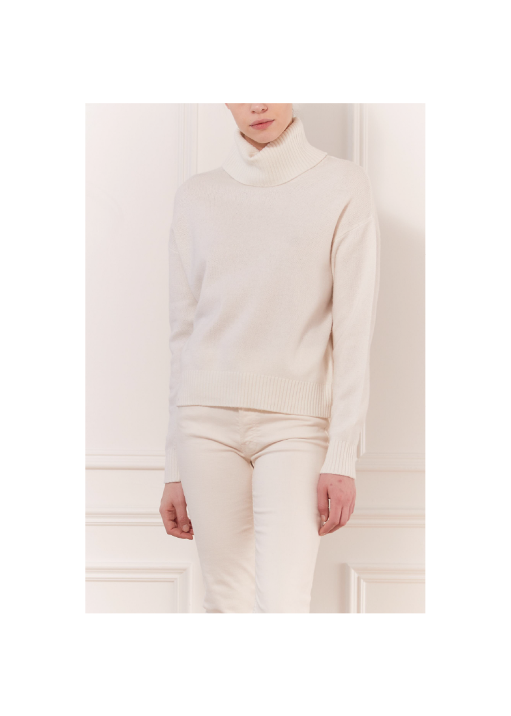 Iris Setlakwe Drop Shoulder Turtleneck 