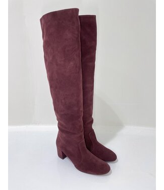 Chie Mihara Naton Tall Suede Boot