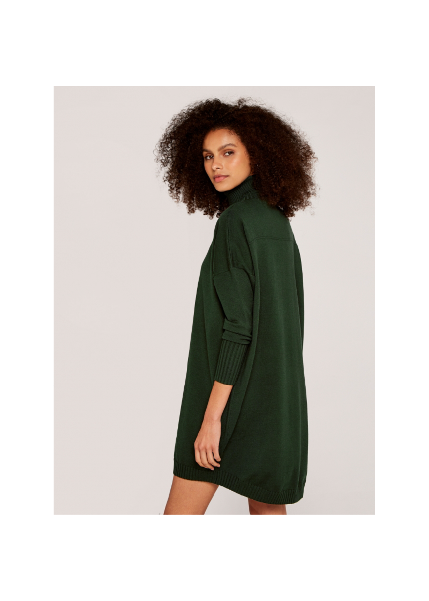 hush roll neck sweater dress