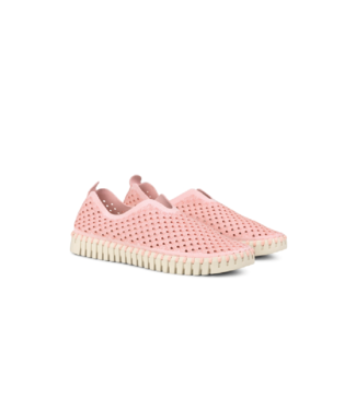 Tulip slip best sale