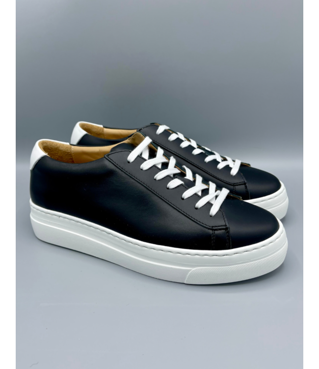 Manovie Toscane Filo 2 Galaxy Platform Sneaker (4 Colours Available)