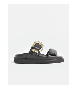 Pavement Rio Gold Buckle Slide