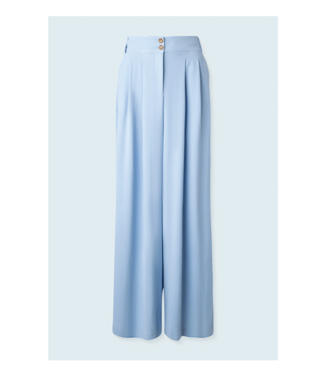 Iris Setlakwe Wide Leg Pleated Pant