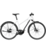 RIESE & MULLER Roadster Mixte vario (custom-order)