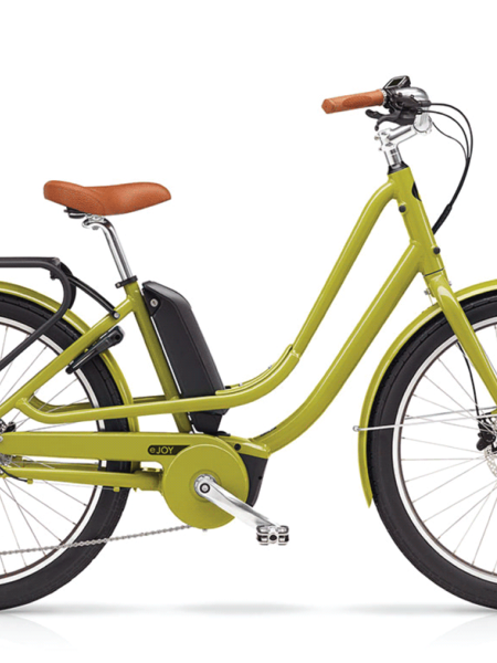 ebike jeep