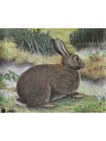 JVD Animal Face Rabbit