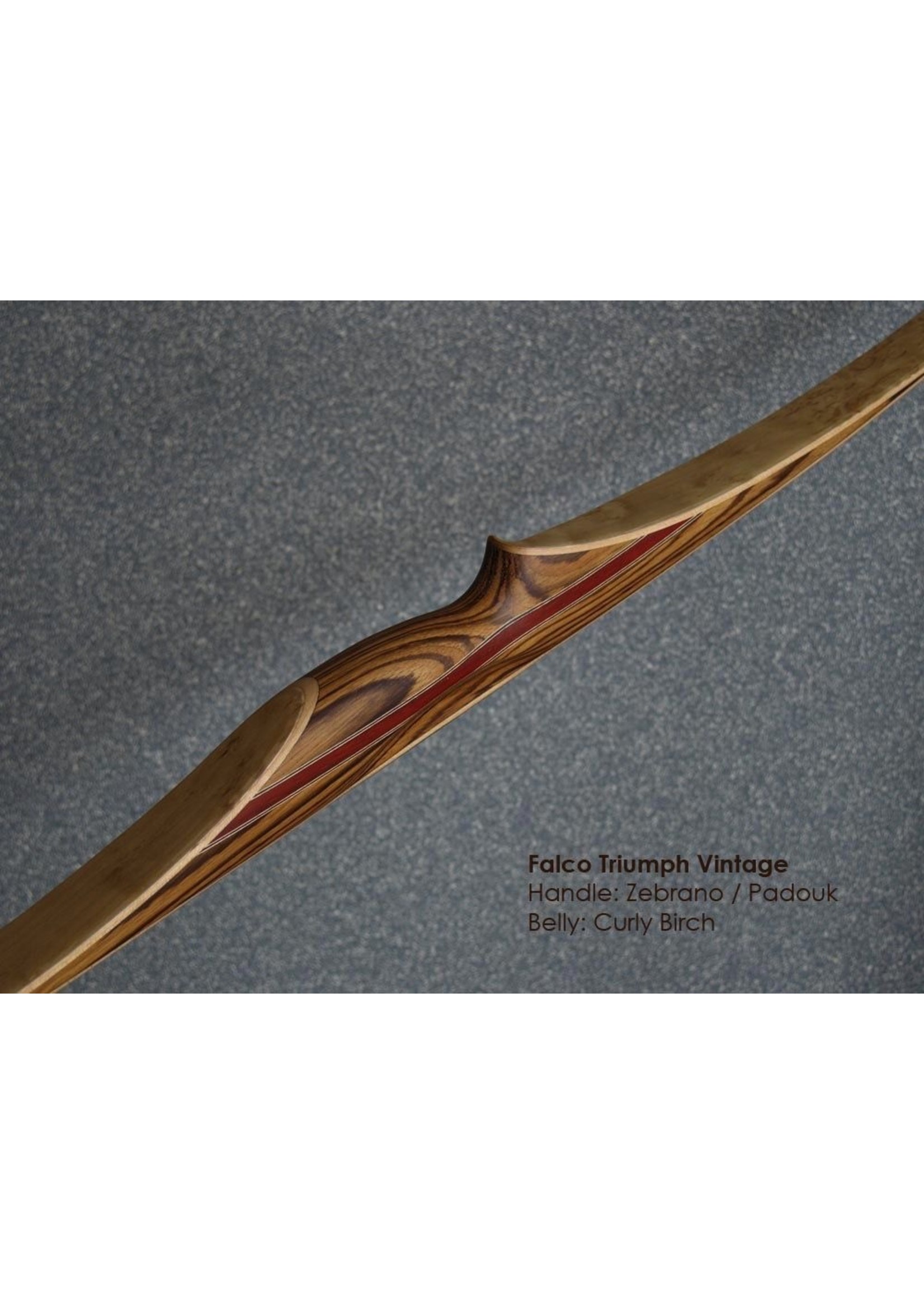 Falco Falco Longbow Zebrano/Curly Birch