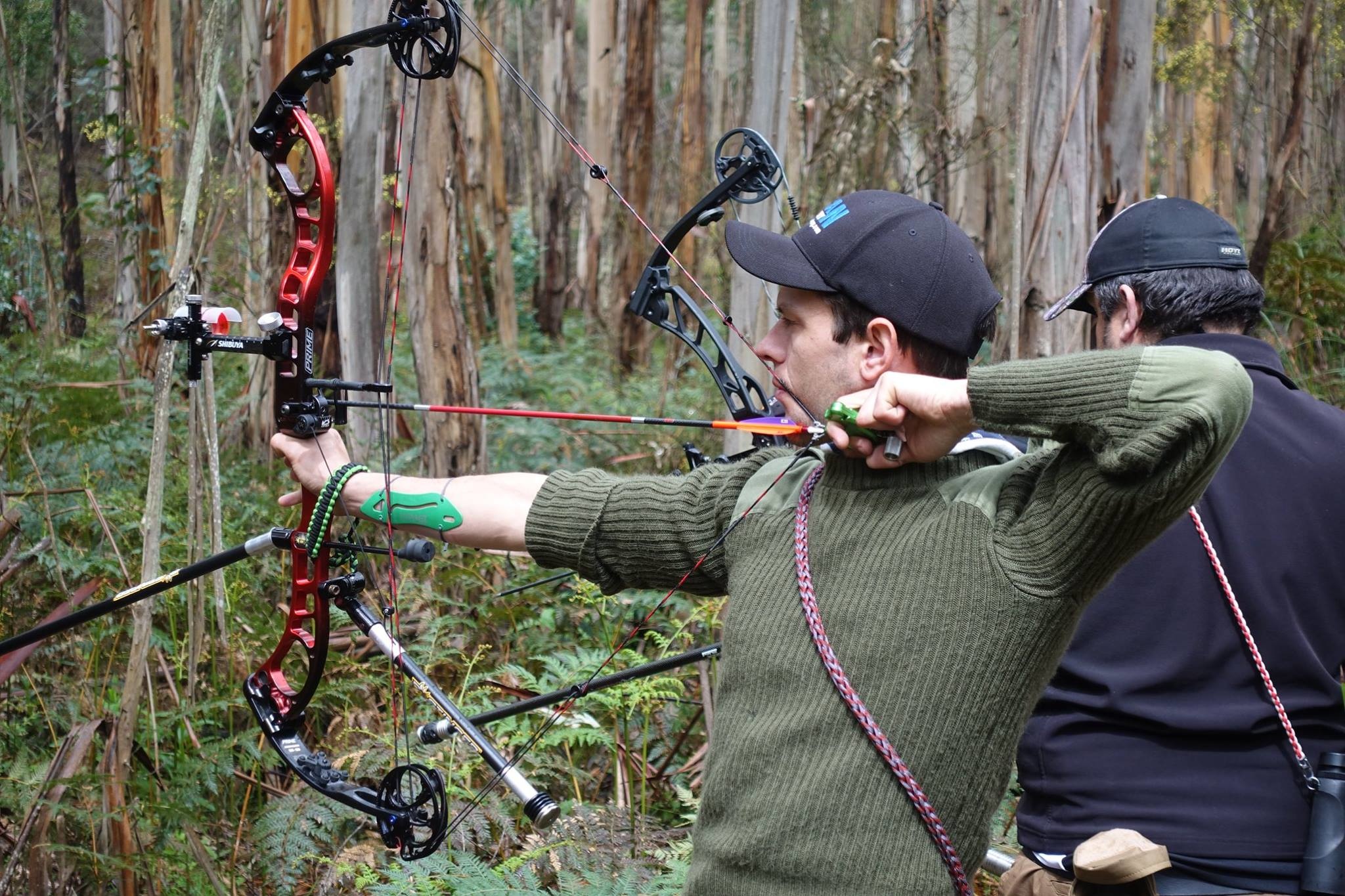 Left-handed compound bow