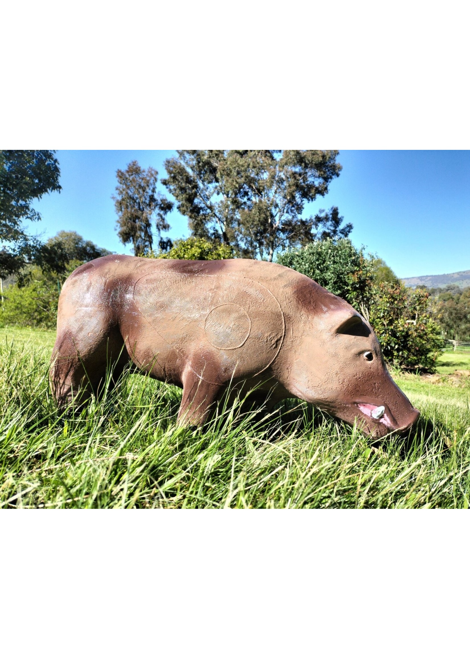 Aussie Targets Aussie Standing Pig
