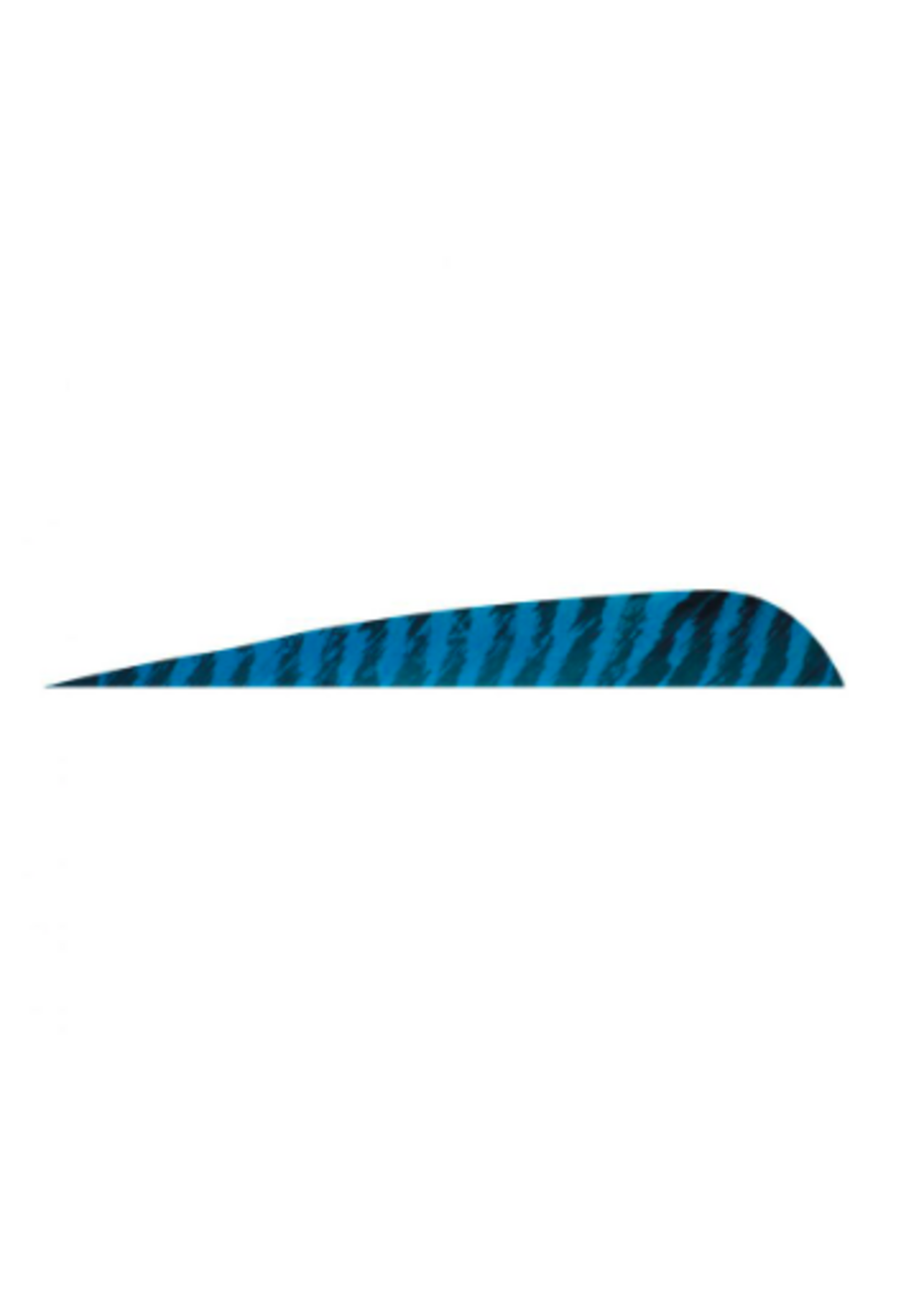Gateway Gateway 4 inch Parabolic Feathers Barred