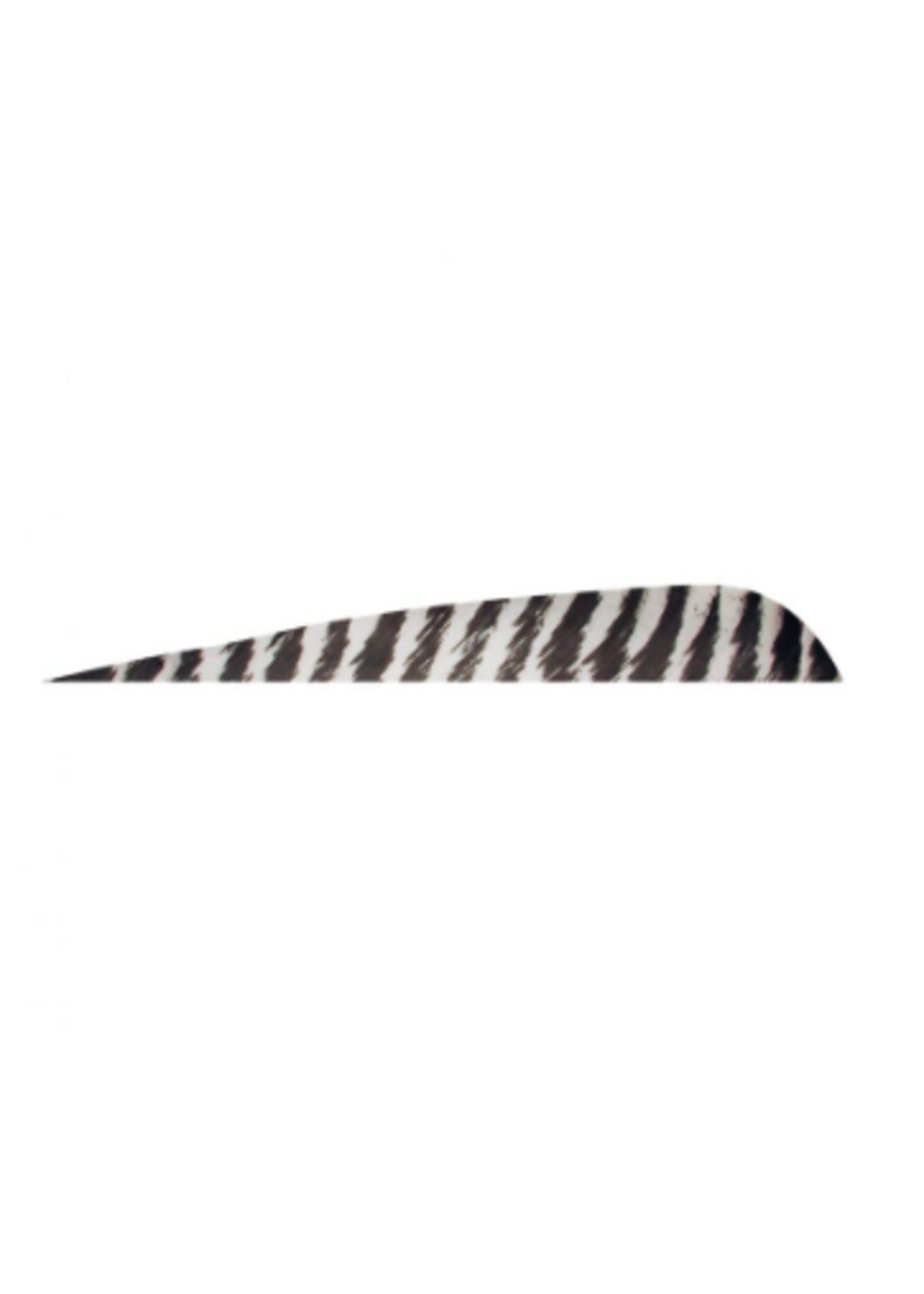 Gateway Gateway 4 inch Parabolic Feathers Barred