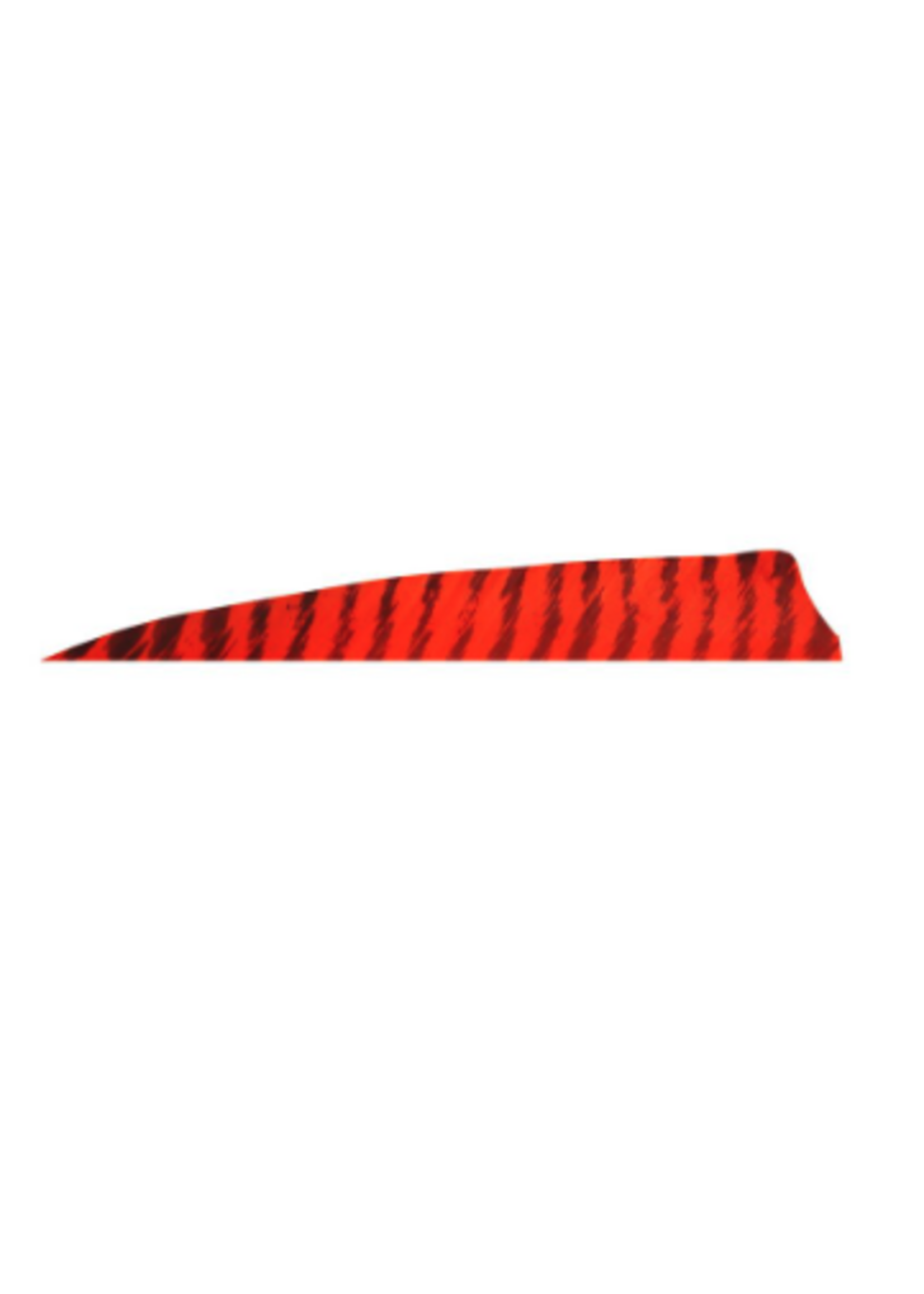 Gateway Gateway 4inch SHIELD Feathers Barred