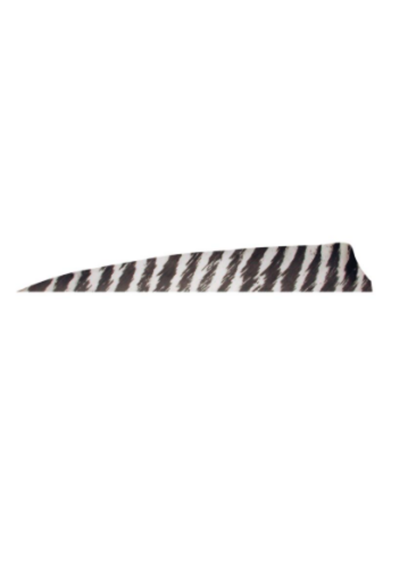 Gateway Gateway 4inch SHIELD Feathers Barred