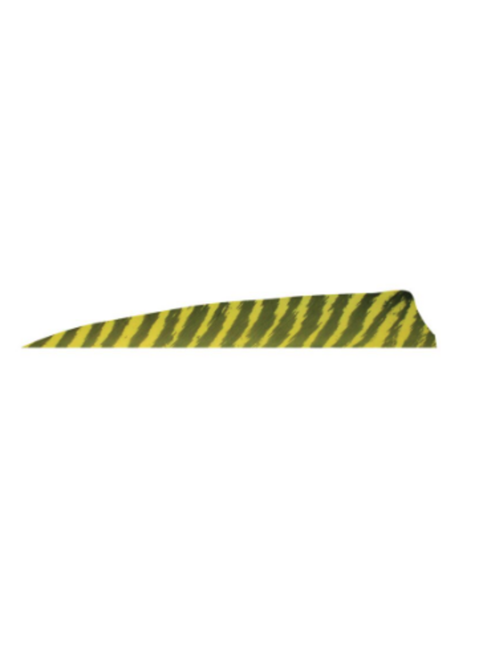 Gateway Gateway 4inch SHIELD Feathers Barred