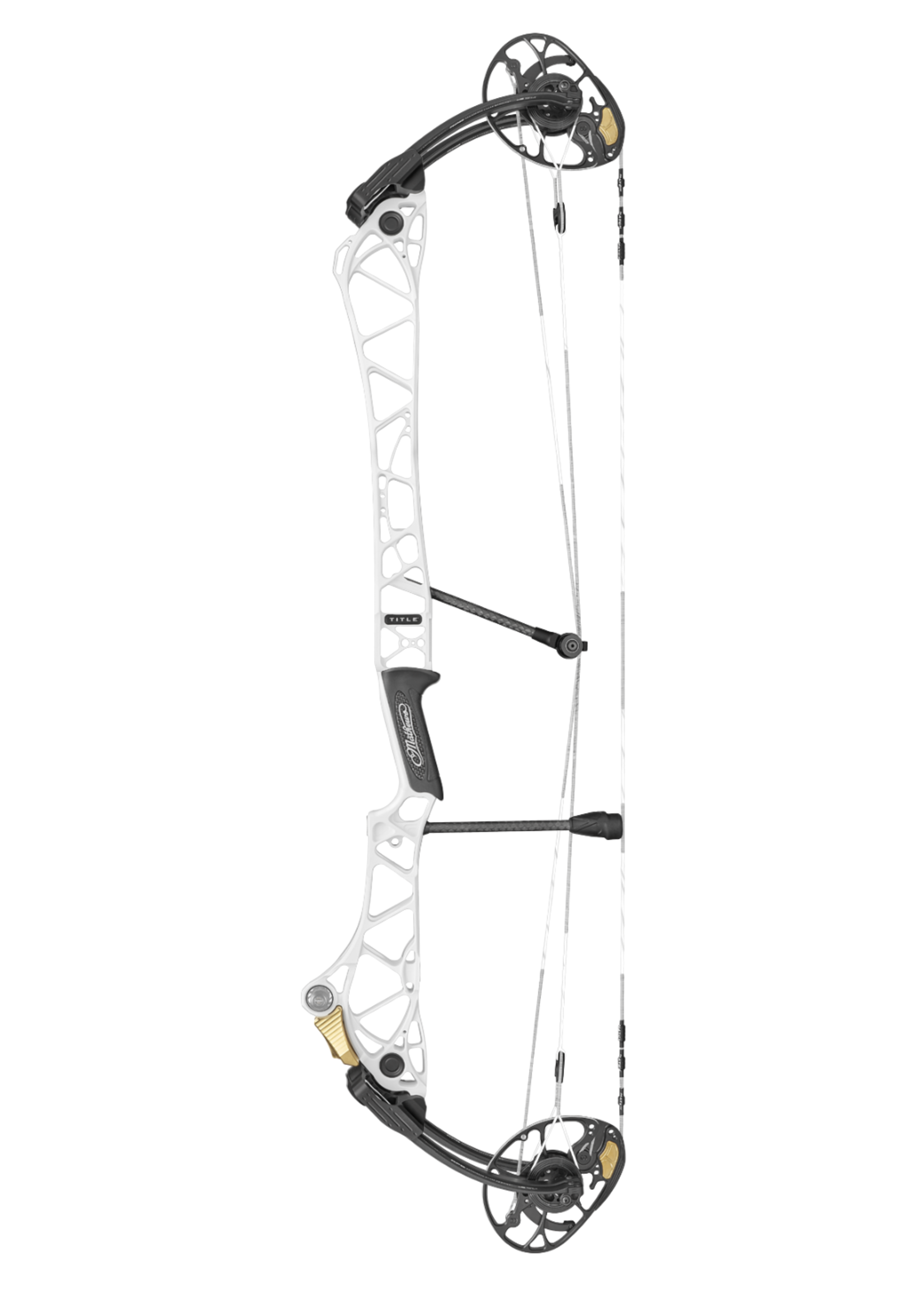 Mathews Inc Mathews Title 38 2024