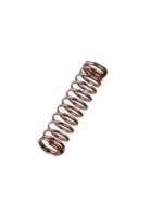 Beiter Beiter Plunger Spring