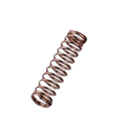 Spring Pulisher Beiter Plunger Spring - Urban Archery Pty Ltd