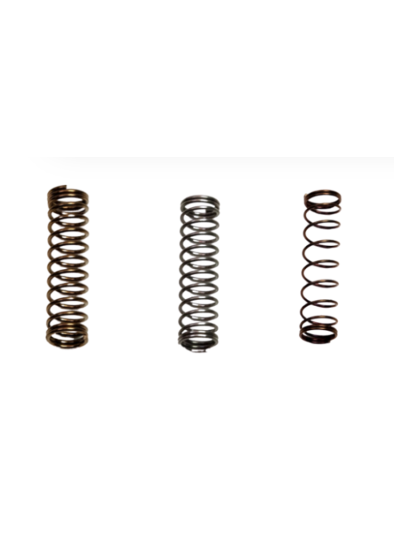 Beiter Beiter Plunger Spring