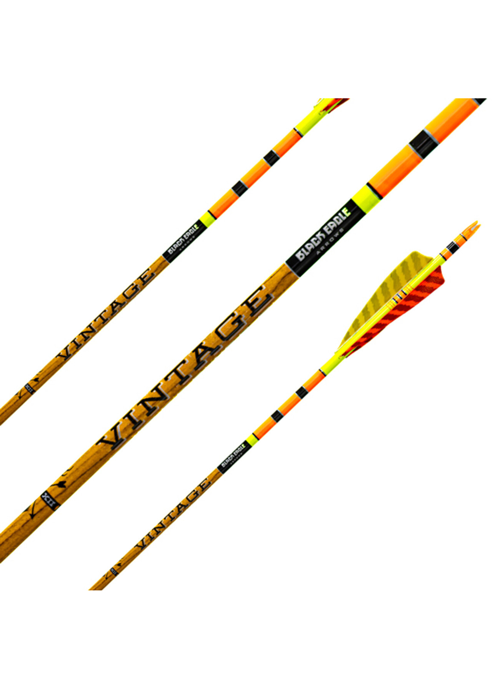 Black Eagle Black Eagle Vintage Crested 6 Pack