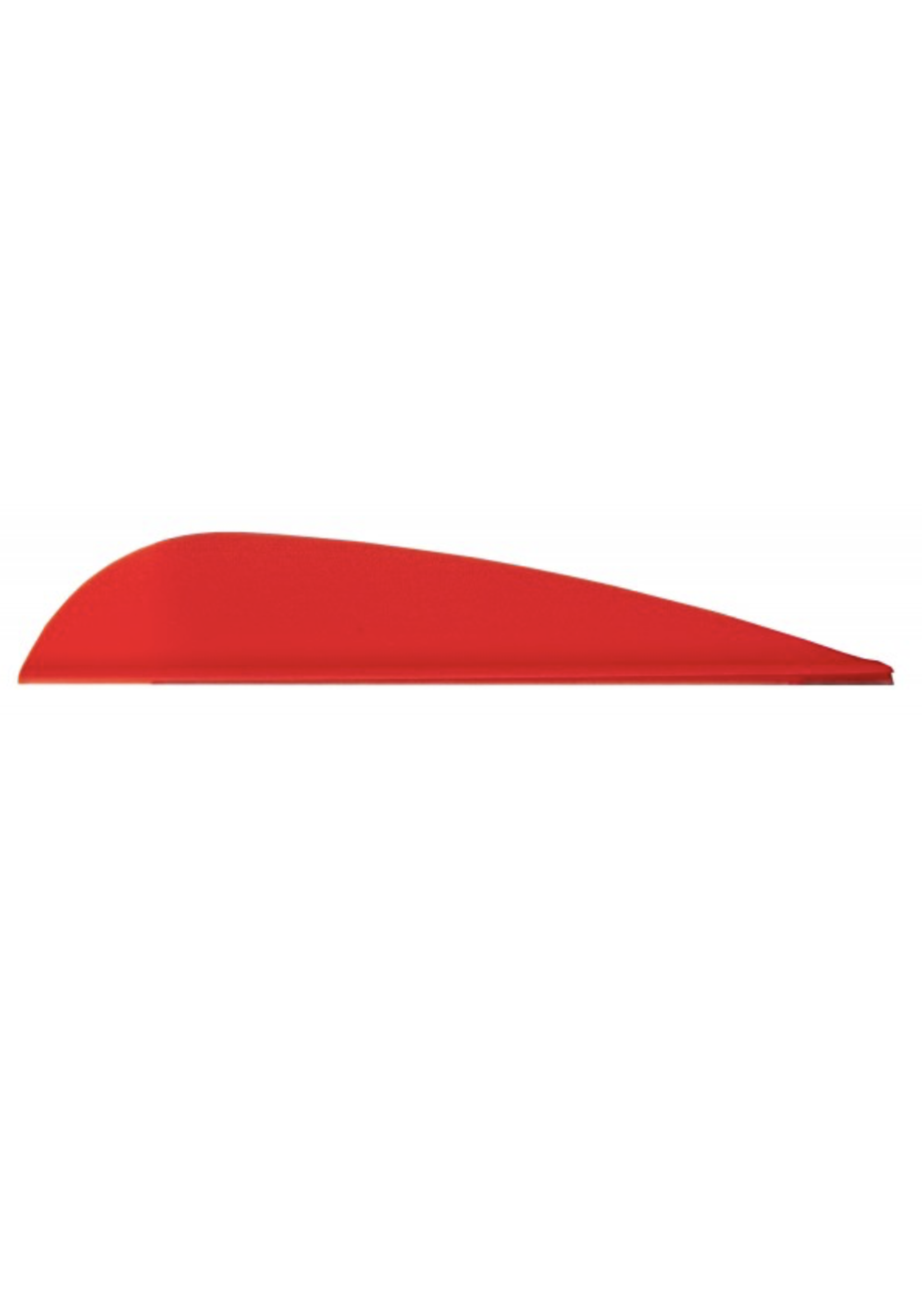 AAE AAE Trad Vanes 50 Pack