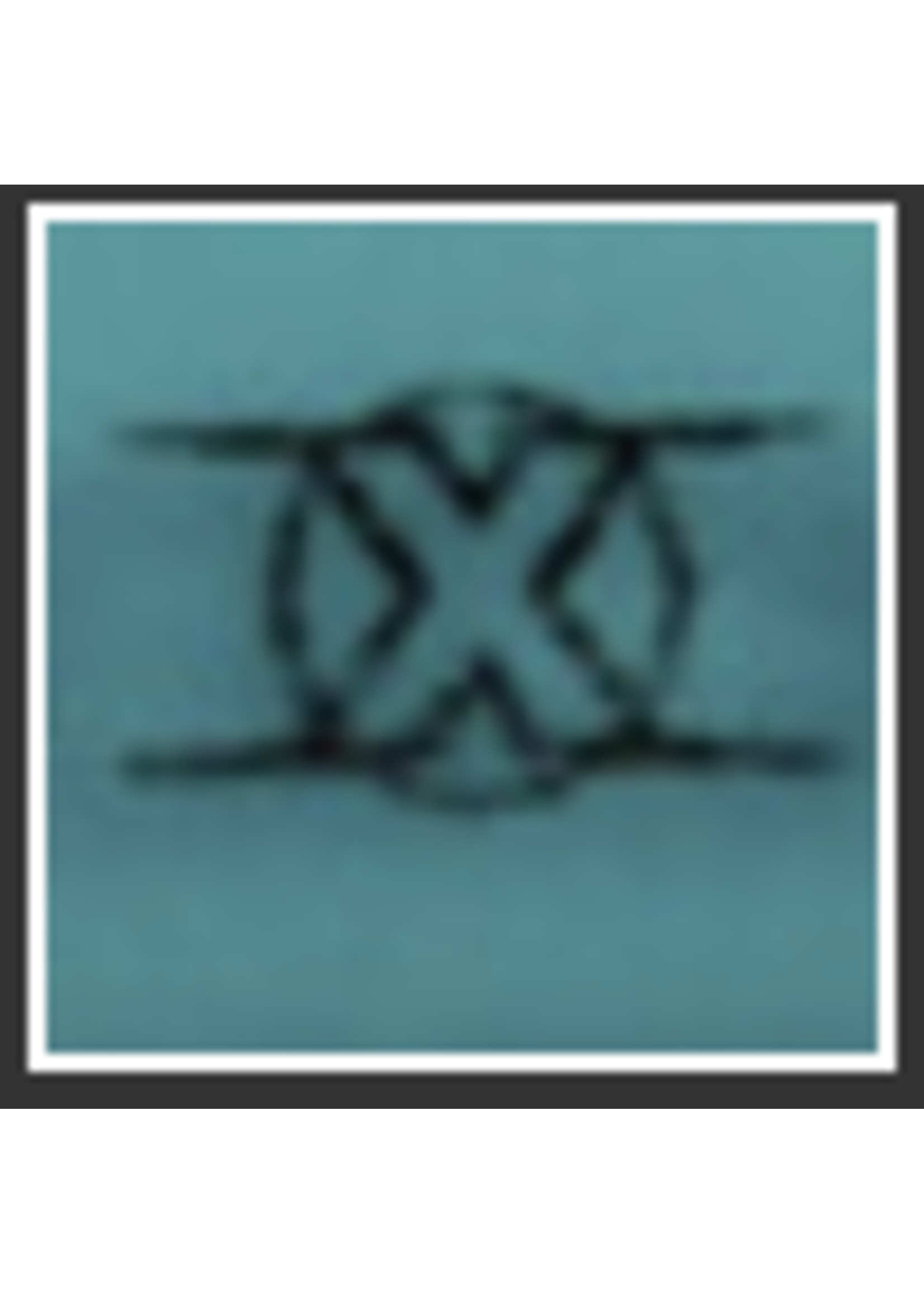 Bohning Bohning X Vanes 100pk