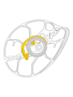 Mathews Inc Mathews SWX Cam