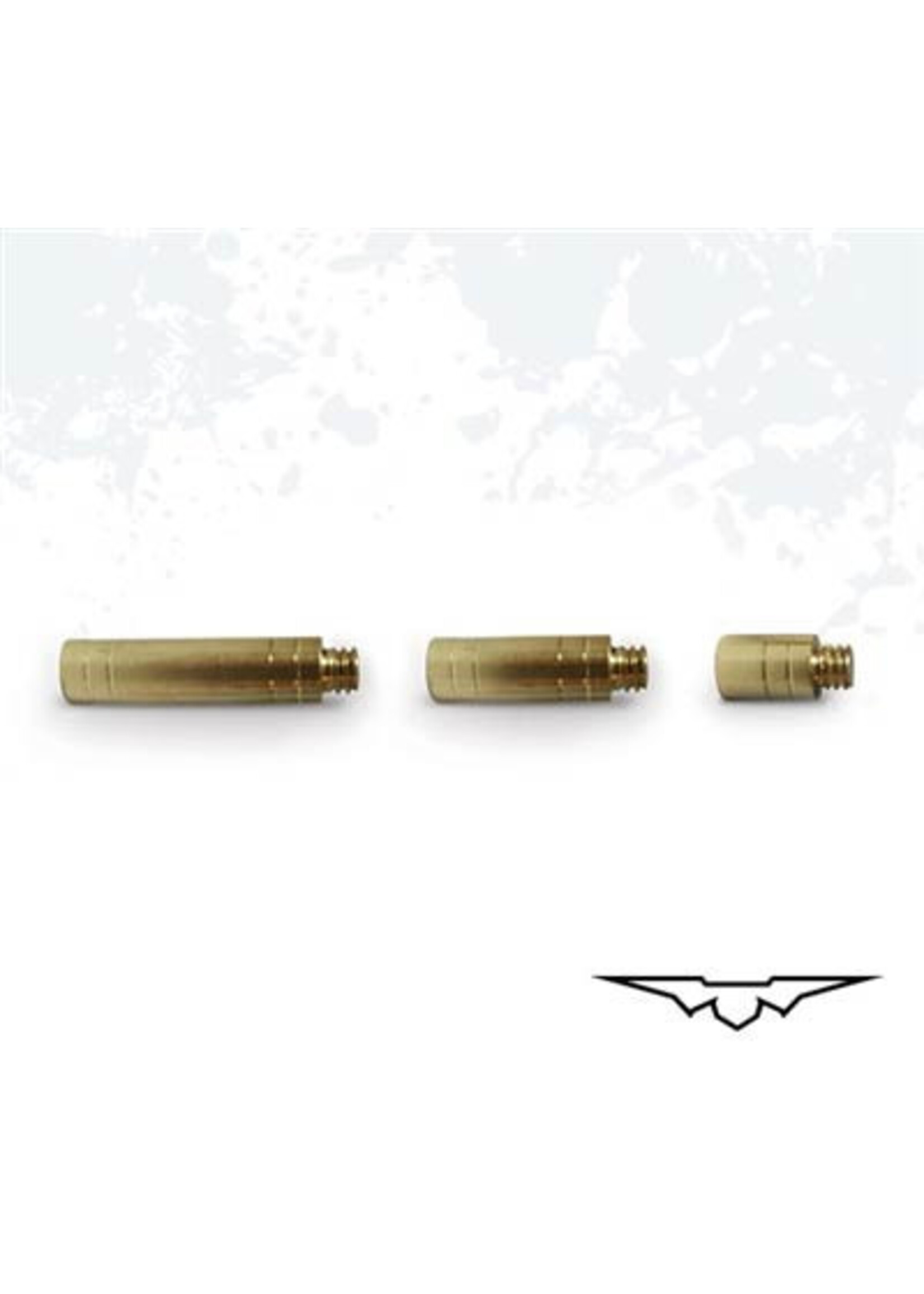 Black Eagle Black Eagle Brass Screw in Weights .204 (dozen)