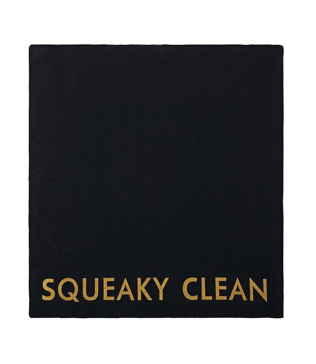 Santa Barbara MINI CASE W/CLOTH