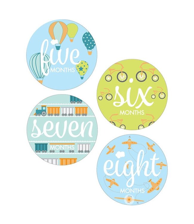 Santa Barbara Monthly sticker photo sets for baby boy