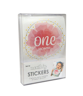 Santa Barbara Monthly sticker photo sets for baby Girl