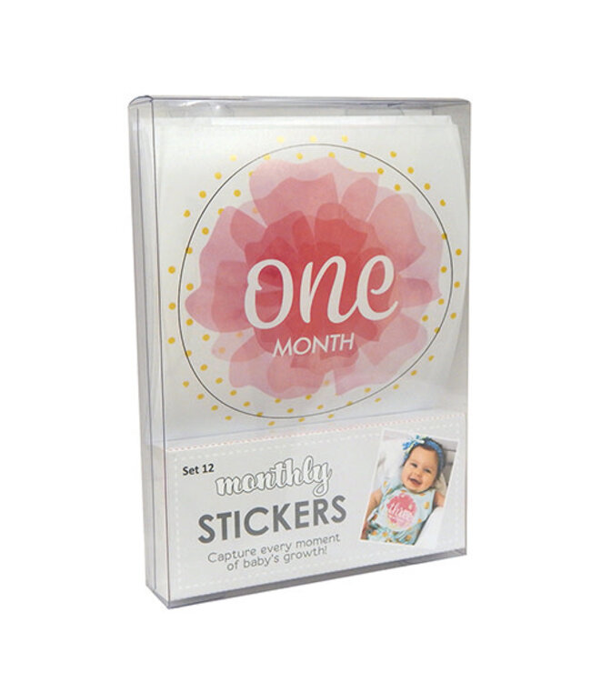 Santa Barbara Monthly sticker photo sets for baby Girl
