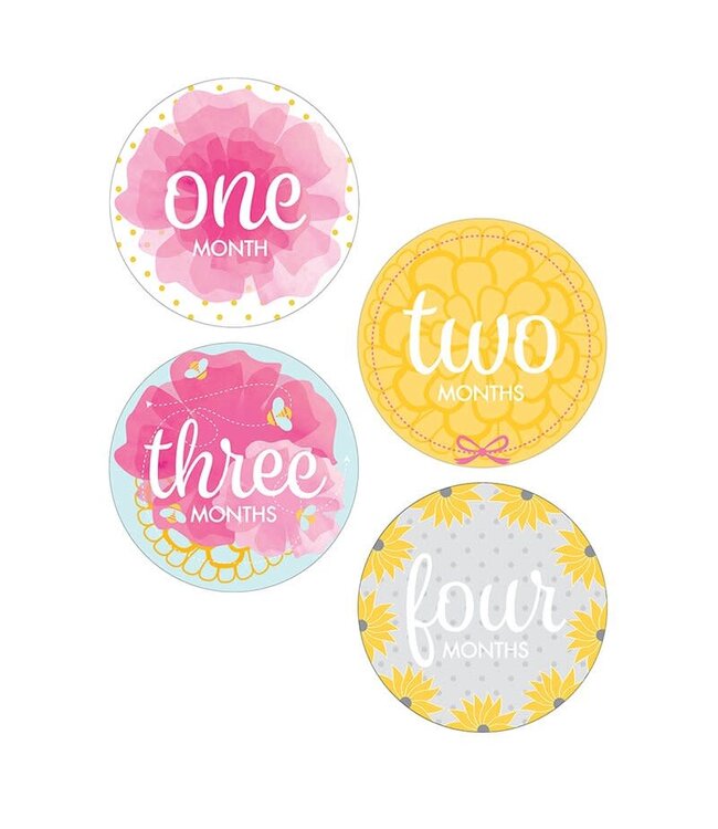 Santa Barbara Monthly sticker photo sets for baby Girl