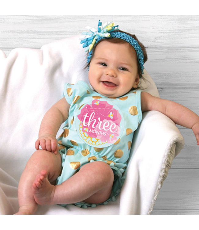 Santa Barbara Monthly sticker photo sets for baby Girl