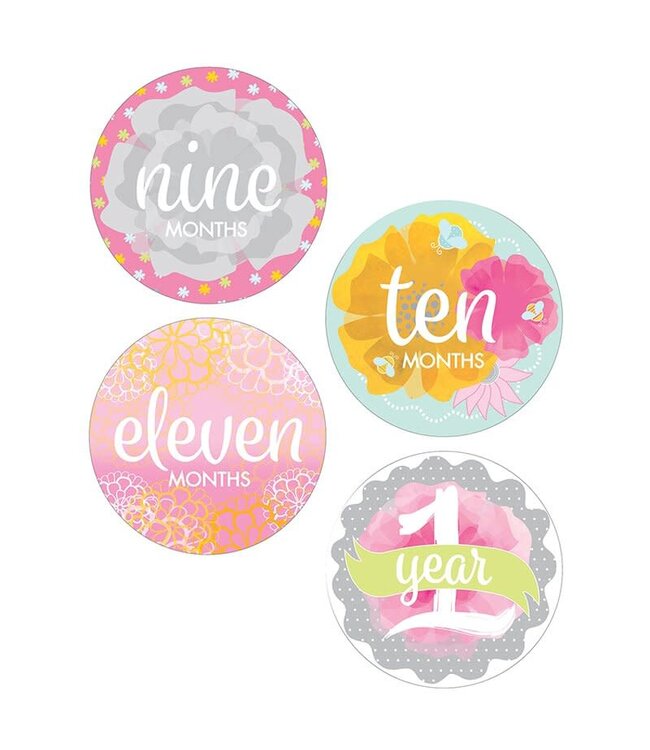 Santa Barbara Monthly sticker photo sets for baby Girl