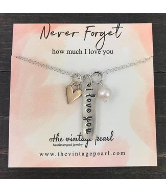 Never Forget How Much I Love You Necklace