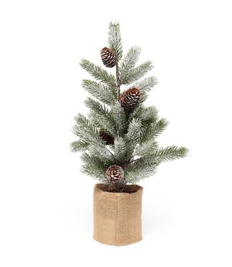 Spruce Pine Tree 19" Pine cone burlap pot