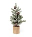 Spruce Pine Tree 19" Pine cone burlap pot