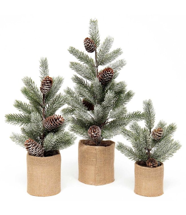 Spruce Pine Tree 19" Pine cone burlap pot