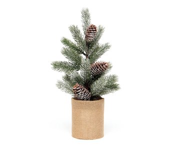 Spruce Pine Tree 13" Pine cone burlap pot