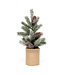 Spruce Pine Tree 13" Pine cone burlap pot
