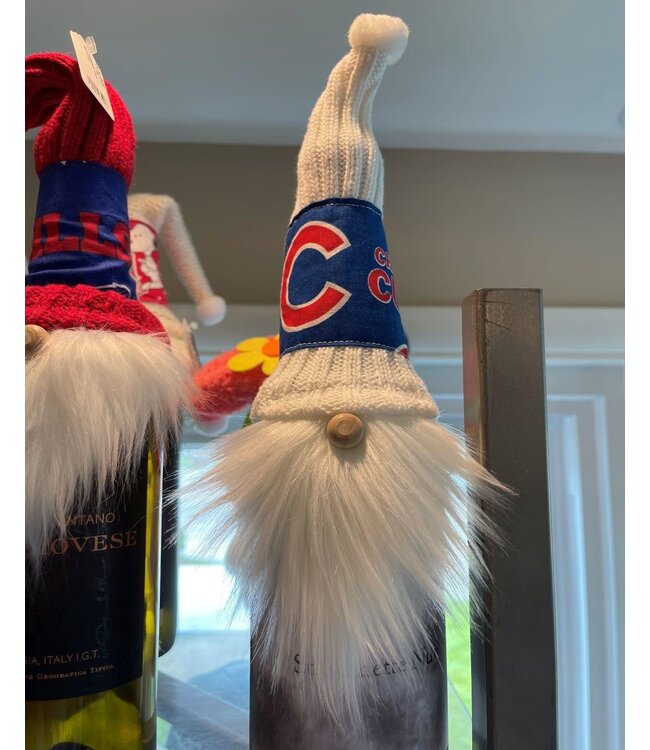 Sports bottle top gnomes