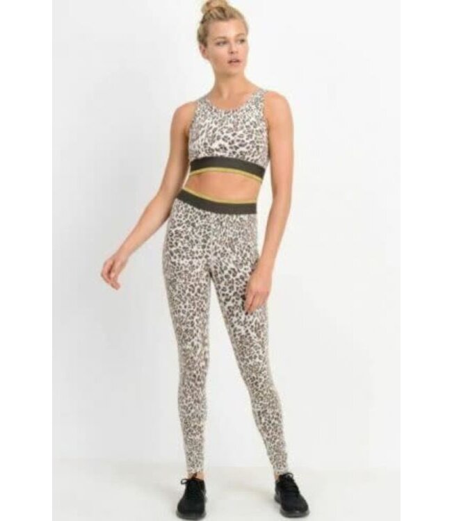 High waist Snow Jaguar Gold-Striped Band Leggings
