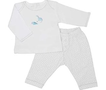 Magnolia Baby Dino Riffic Embroidered 2pc pant set- size NB
