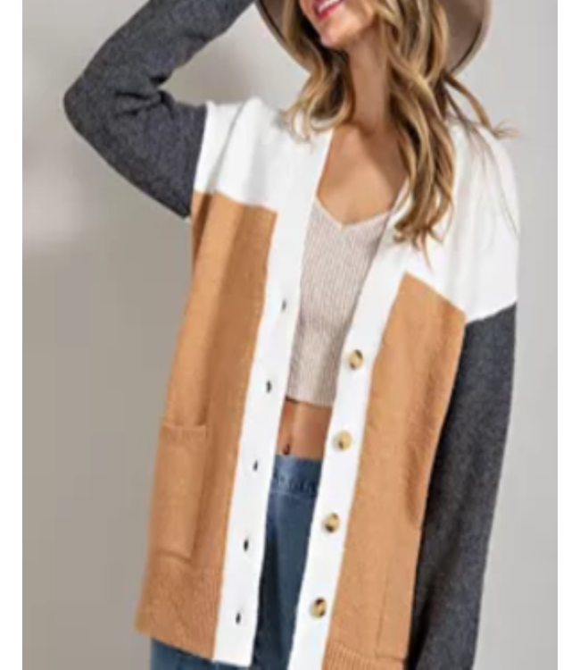 Button down color block cardigan