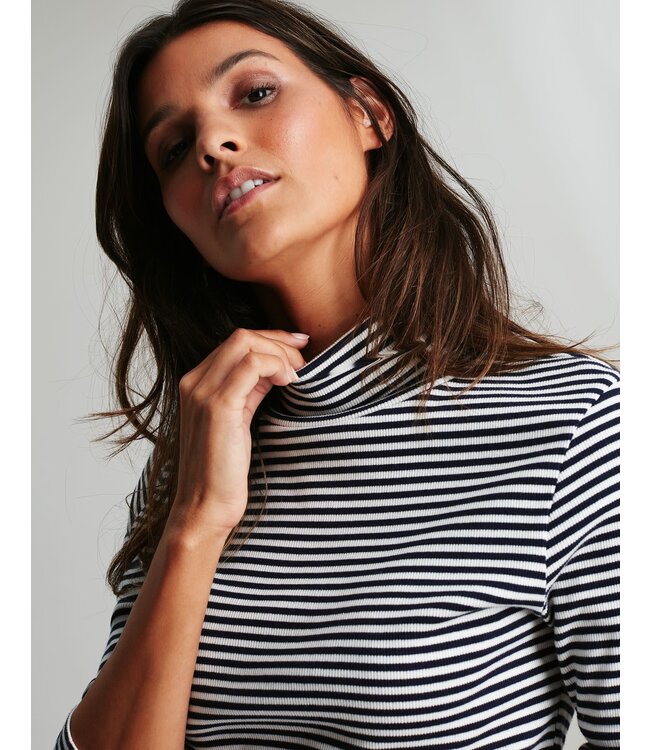 Joules Clarissa stripe roll neck jersey top